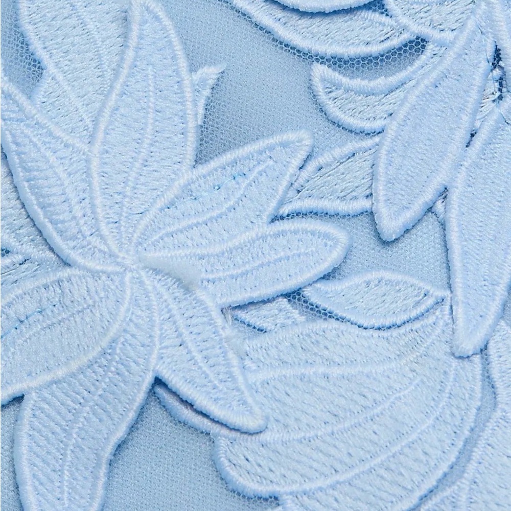 OLIVIA ROSE TRELLIS LACE
MINIDRESS - Picture 5 of 6